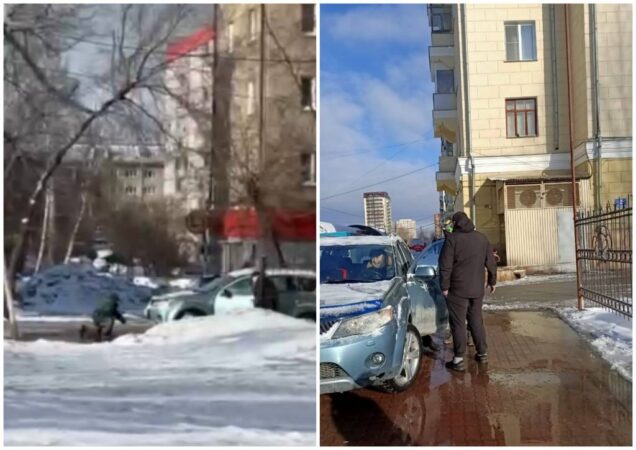 В Новосибирске неизвестный оскорбил и ударил пожилую сотрудницу «Горзеленхоза»