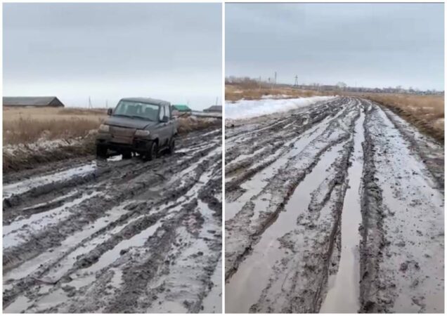 В Новосибирской области жители рассказали о дороге
