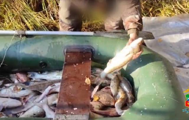 В Новосибирской области полиция изъяла у браконьера 50 кг незаконно добытой рыбы