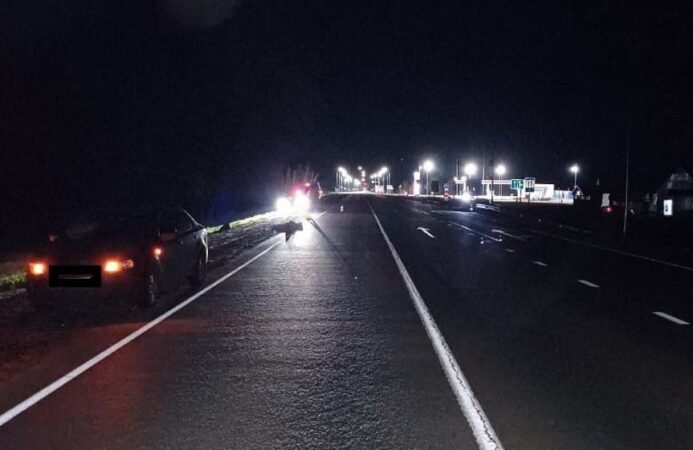 Мужчину сбили насмерть на трассе в Новосибирской области