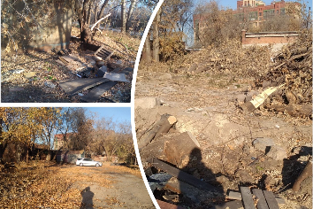 Новосибирцы пожаловались на свалку сухих деревьев во дворе