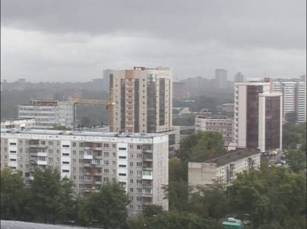 Жителей Новосибирской области предупредили о грозах и ураганном ветре 20 июня