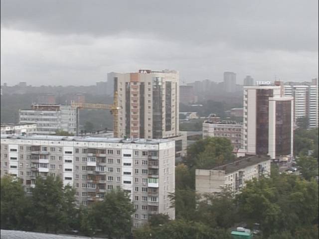 Жителей Новосибирской области предупредили о грозах и ураганном ветре 20 июня