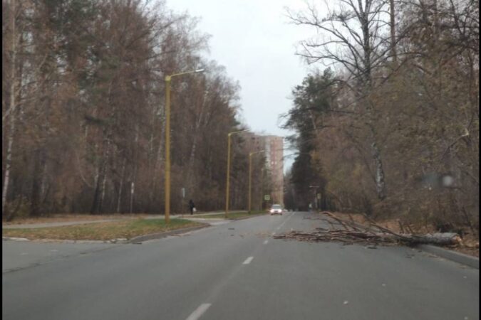 Ураганный ветер повали деревья в Новосибирске
