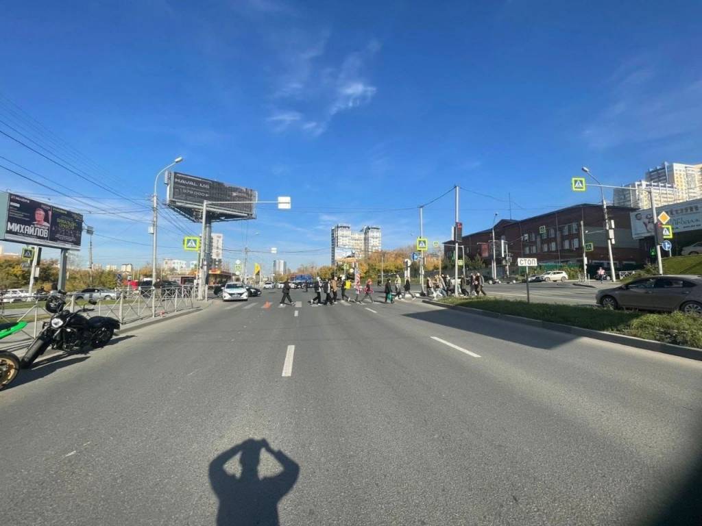 Новосибирец на Harley-Davidson сбил ребенка на «зебре»Новосибирец на Harley-Davidson сбил ребенка на «зебре»