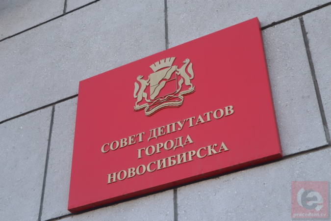 В Новосибирске 8 сентября пройдут дополнительные выборы в горсовет на бывшем округе Натальи Пинус