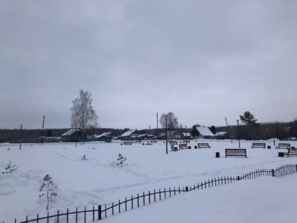 В Новосибирской области СК возбудил уголовное дело о мошенничестве при озеленении