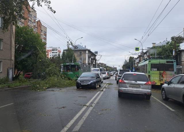 Упавшие на дорогу тополя парализовали движение троллейбусов в Новосибирске