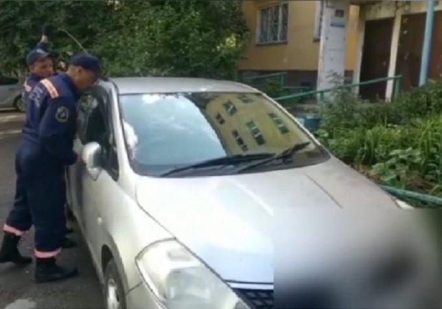 В Новосибирске спасатели освободили запертого в машине двухлетнего ребенка