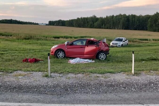 В Новосибирской области 9-летняя девочка погибла в страшном ДТП с грузовиком