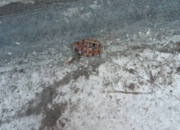 В Новосибирске ребенок нашел корпус гранаты у многоквартирного дома