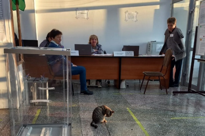 В Новосибирске стартовали довыборы в горсовет на округах Бойко и Пироговой