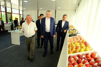 Обмен сельхозпродукции с Узбекистаном предложили в Новосибирске