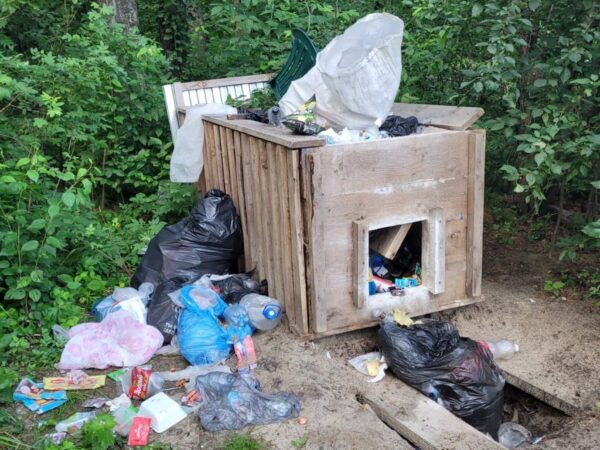 Памятник природы «Бердская коса» в Новосибирской области превращается в помойку