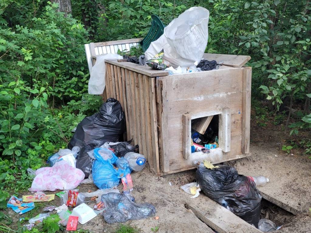 Памятник природы «Бердская коса» в Новосибирской области превращается в помойку