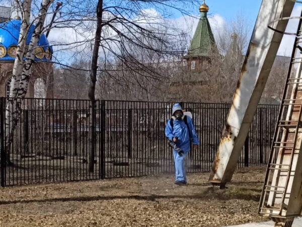 В Новосибирской области  назвали районы с самым большим количеством клещей