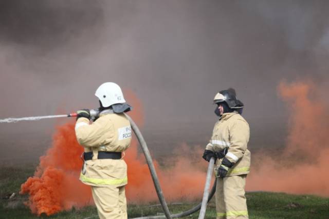 В Новосибирской области с начала сезона произошло более 370 лесных пожаров