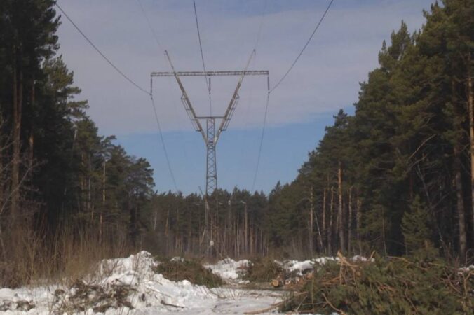 Под Новосибирском дачников возмутила «профилактическая» вырубка леса под ЛЭП