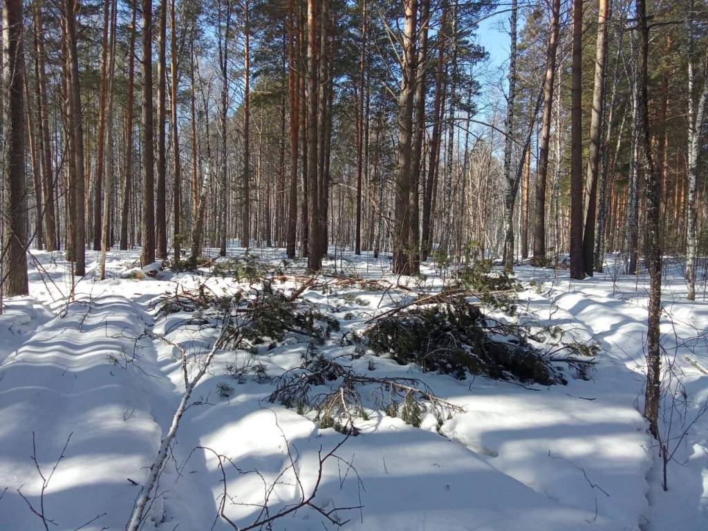 Инспекторы министерства природных ресурсов в Новосибирской области ловят браконьеров с помощью беспилотников