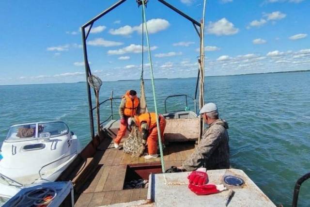 Новые меры господдержки позволили в 2023 году увеличить вылов рыбы в Новосибирской области