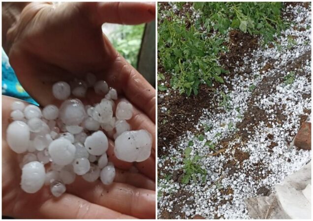 В Новосибирской области в двух районах выпал крупный град