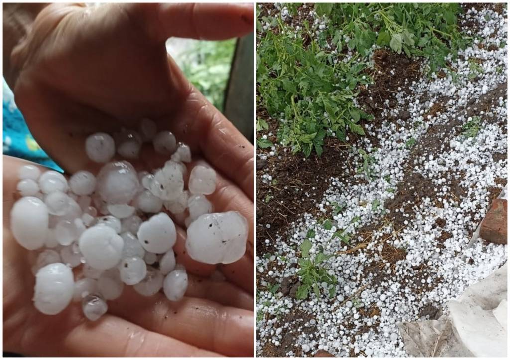 В Новосибирской области в двух районах выпал крупный град