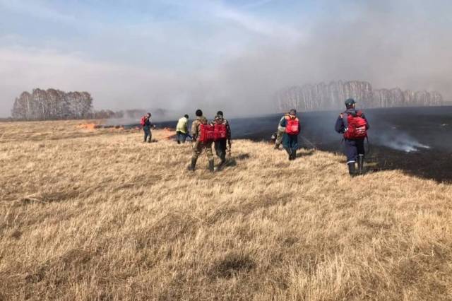 В Новосибирской области с 24 апреля могут ввести особый противопожарный режим