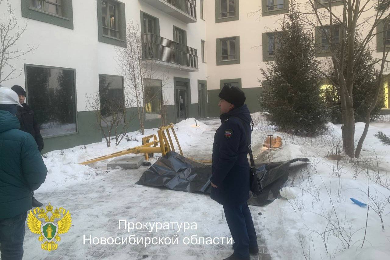 Два новосибирца погибли при падении с крыши