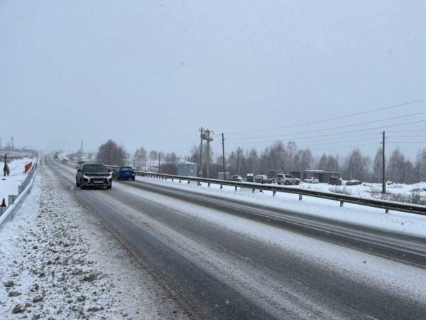 На дорогах Новосибирской области в морозы спасли больше 50 человек