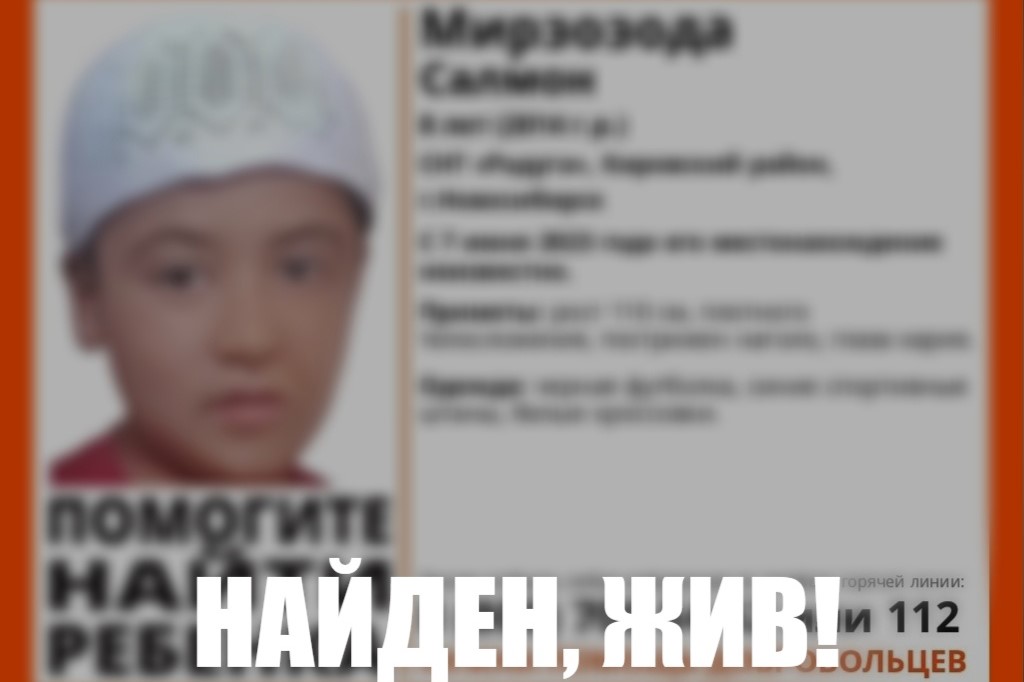 В Новосибирске нашли живым пропавшего 8-летнего мальчика