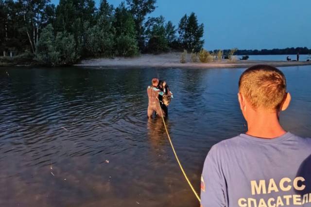В Новосибирске на Ине выловили тело мужчины