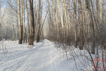 На выходных в Новосибирске похолодает до -17 градусов