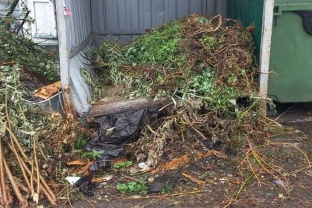 МУП «САХ» отказалось вывозить ботву с мусорных площадок Новосибирска