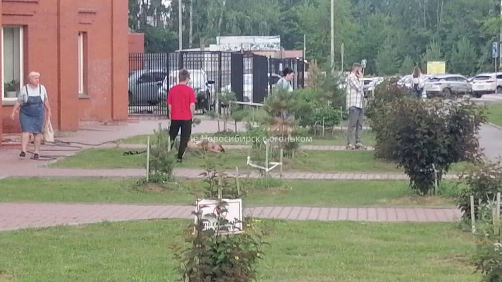 Без страховки: мужчина упал с высоты во время мытья окон