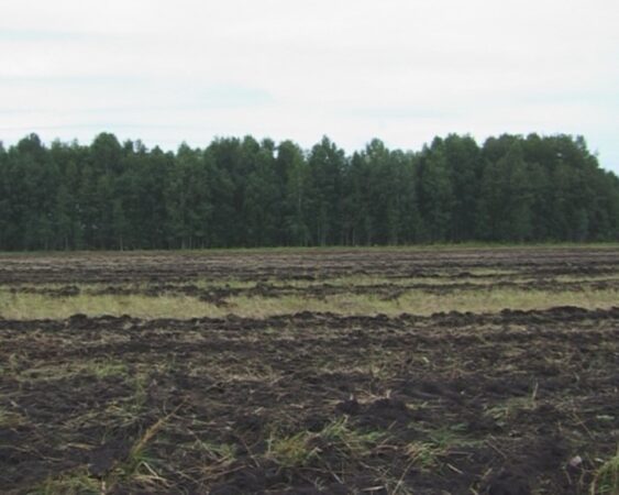 В Новосибирской области после вмешательства прокуратуры 13