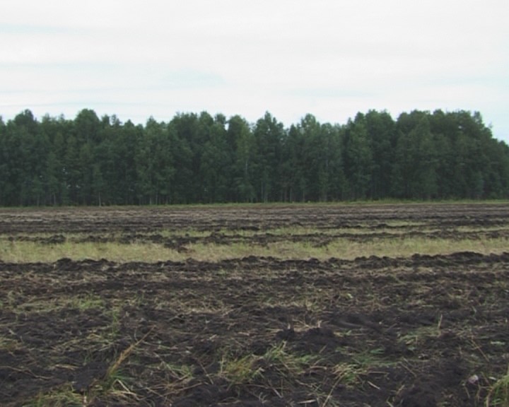 В Новосибирской области после вмешательства прокуратуры 13