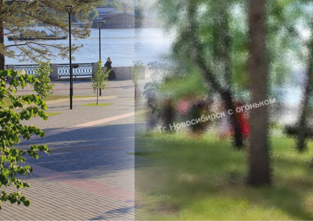 Новосибирцев напугали громкие женские стоны на Михайловской набережной