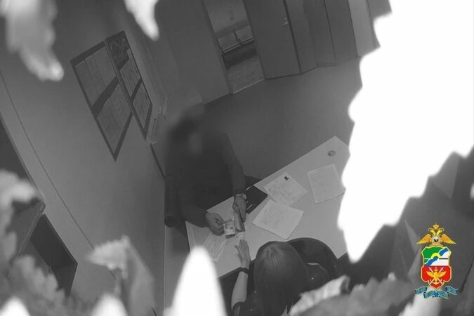 Нелегального мигранта задержали в аэропорту «Толмачёво» за взятку