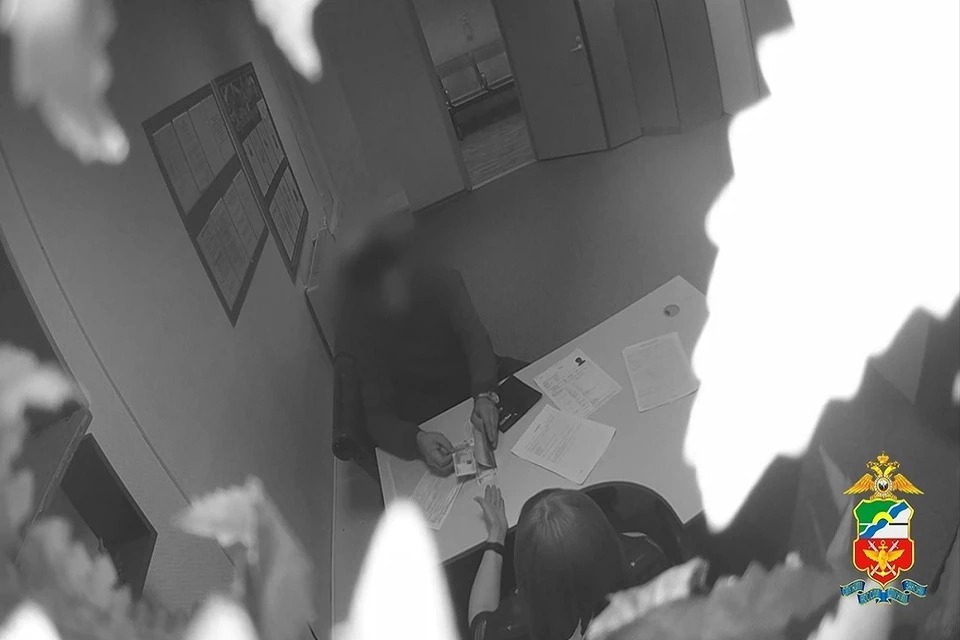 Нелегального мигранта задержали в аэропорту «Толмачёво» за взятку