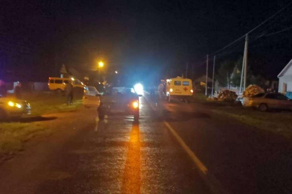 Пешеход погиб под колесами авто ночью в Новосибирской области