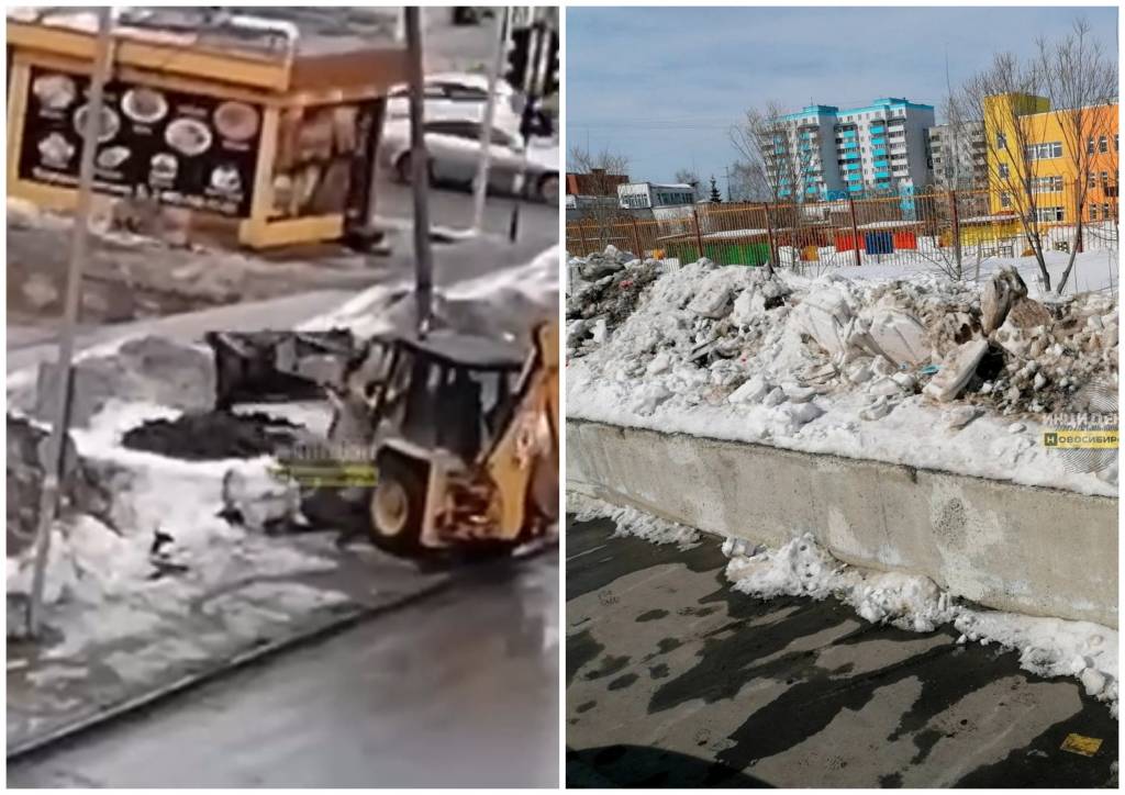В Новосибирске коммунальщики сваливают снег с дорог в зеленые зоны