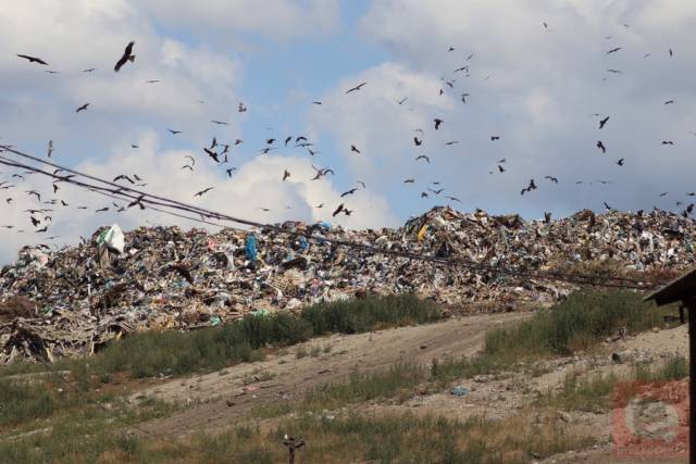 В Баганском районе за 15 миллионов рублей ликвидируют две несанкционированные свалки