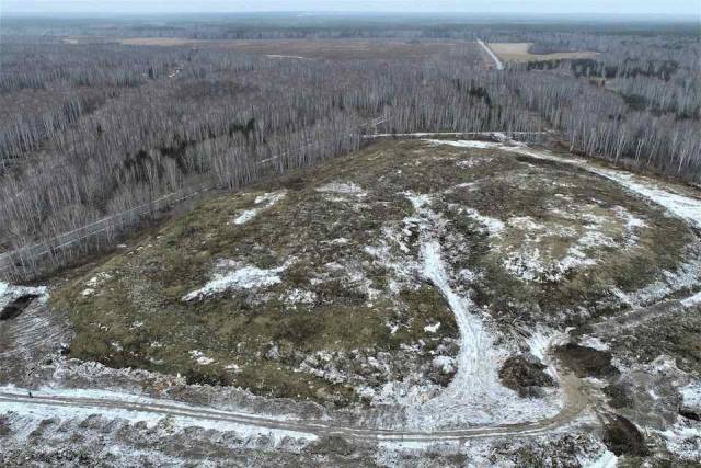 В Новосибирской области свалки в Пашино и Барабинске начнут ликвидировать в 2023 году