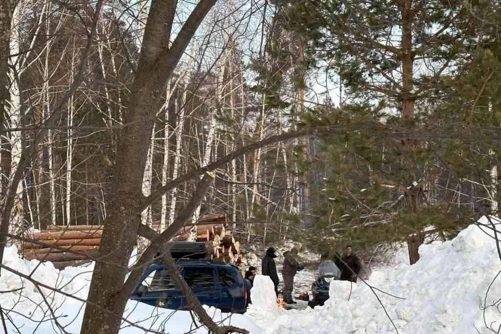 Мэрия не разрешила строить многоэтажку на месте лагеря «Юный медик» в Новосибирске