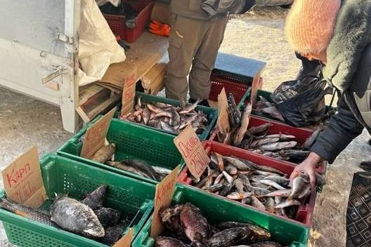 Почти центнер мяса и рыбы изъяли у торговцев в Новосибирске