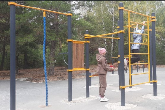 В Новосибирске в 2023 году отремонтируют 68 дворов за 300 миллионов рублей