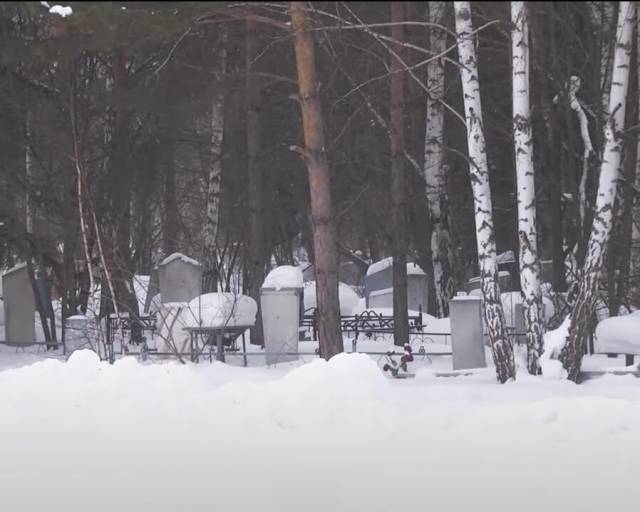 «Это какой-то геноцид»: в Бердске покойников хоронят под окнами у дачников