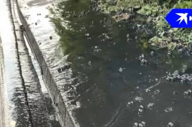 Черную жижу в реке Обь изучит природоохранная прокуратура