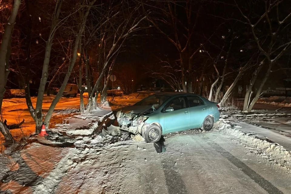 В Новосибирске «Toyota» врезалась в дерево: пострадал водитель