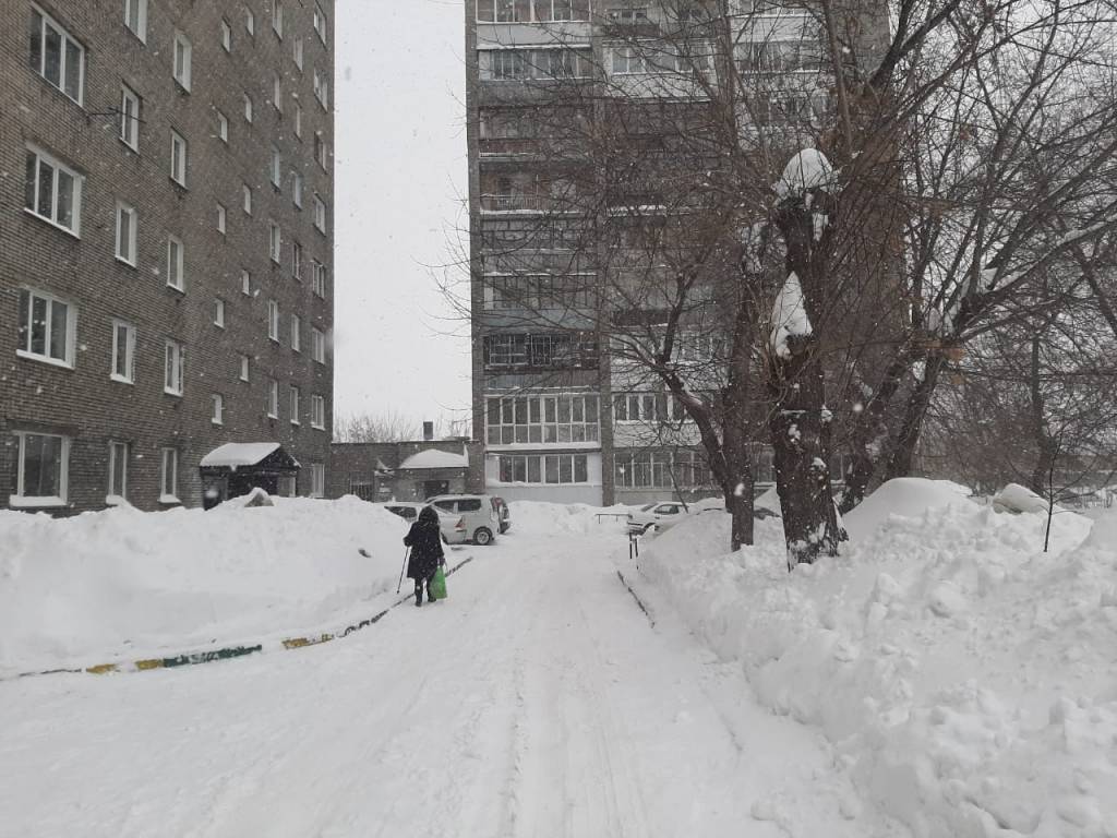 В Новосибирске заготовили 75 тонн бионорда на зиму